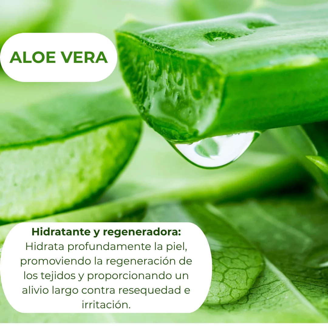 ALOE VERA webp